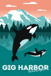 Gig Harbor, Washington - Orca Whale & Calf - Go Freestyle