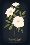 Savannah, Georgia - Vintage Flora Noir - Cherokee Rose