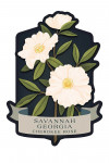 Savannah, Georgia - Vintage Flora Noir - Cherokee Rose - Contour