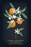 Fort Myers, Florida - Vintage Flora Noir - Orange Blossom