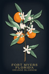 Fort Myers, Florida - Vintage Flora Noir - Orange Blossom
