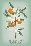 Fort Myers, Florida - Vintage Flora - Orange Blossom