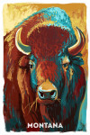 Montana - Vivid - Bison
