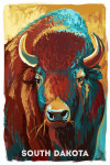 South Dakota - Vivid - Bison