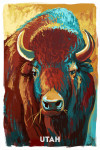 Utah - Vivid - Bison