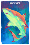 Hawaii - Vivid - Blacktip Shark