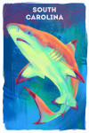 South Carolina - Vivid - Blacktip Shark