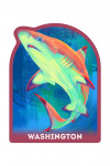 Washington - Vivid - Blacktip Shark - Contour