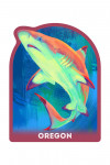 Oregon - Vivid - Blacktip Shark - Contour