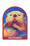 California - Vivid - Sea Otter - Contour