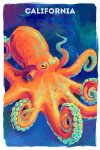 California - Vivid - Octopus