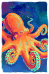 Vivid - Octopus