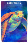 California - Vivid - Sea Turtle