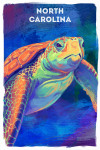 North Carolina - Vivid - Sea Turtle