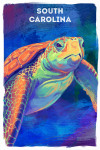 South Carolina - Vivid - Sea Turtle