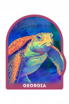 Georgia - Vivid - Sea Turtle - Contour