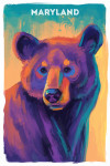 Maryland - Vivid - Black Bear