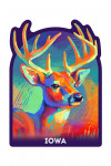 Iowa - Vivid - White Tailed Deer - Contour