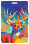 Ohio - Vivid - White Tailed Deer