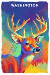 Washington - Vivid - White Tailed Deer
