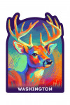 Washington - Vivid - White Tailed Deer - Contour