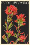 Color Background - Indian Paintbrush - Letterpress
