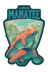 Florida - Fluid Linework - Manatee - Contour