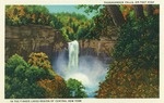 Ithaca, New York - View of Taughannock Falls, 215 Feet High