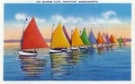 Nantucket, Massachusetts - View of the Rainbow Sailboat Fleet