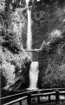 Multnomah Falls Photograph