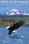 Mount Rainier, Washington - Eagle Fishing - Lantern Press Artwork
