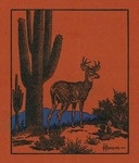 Deer in the Desert with a Cactus - Vintage Magazine