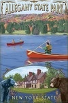 Allegany State Park, New York - Montage - Lantern Press Artwork