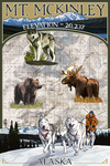 Mt. McKinley, Alaska - Topographical Map