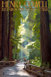 Henry Cowell Redwoods State Park, California - Pathway in Trees - Lantern Press Artwork