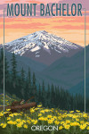 Mt. Bachelor, Oregon - Pine Martin and Flowers