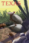 Texas - Armadillo