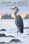 Havre De Grace, Maryland - Blue Heron in Fog - Lantern Press Artwork