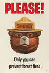 Smokey Bear Vintage Poster - Only You Can Prevent Forest Fires