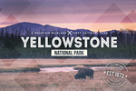 Yellowstone National Park - Bison and Sunset - Rubber Stamp - Lantern Press Photography