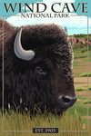 Wind Cave National Park, South Dakota - Painterly - Bison