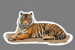 Tiger - Icon
