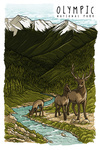 Olympic National Park, Washington - Deer & Stream - Line Drawing - Lantern Press Artwork