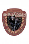 Shenandoah National Park, Virginia - Go Explore - Bear - Contour - Lantern Press Artwork