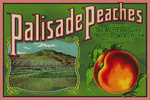 Palisade, Colorado - Palisade Peach - Vintage Label