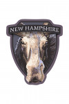 New Hampshire - Moose Up Close - Contour