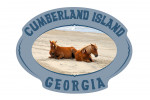 Cumberland Island, Georgia - Wild Horses on Beach - Contour - Lantern Press Photography