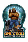 Colorado - Smokey Bear & Friends - Only You Can Prevent Wildfires - Contour