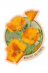 Monterey, California - Poppy Flowers - Contour