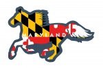 Maryland - Horse Flag - Contour - Lantern Press Artwork